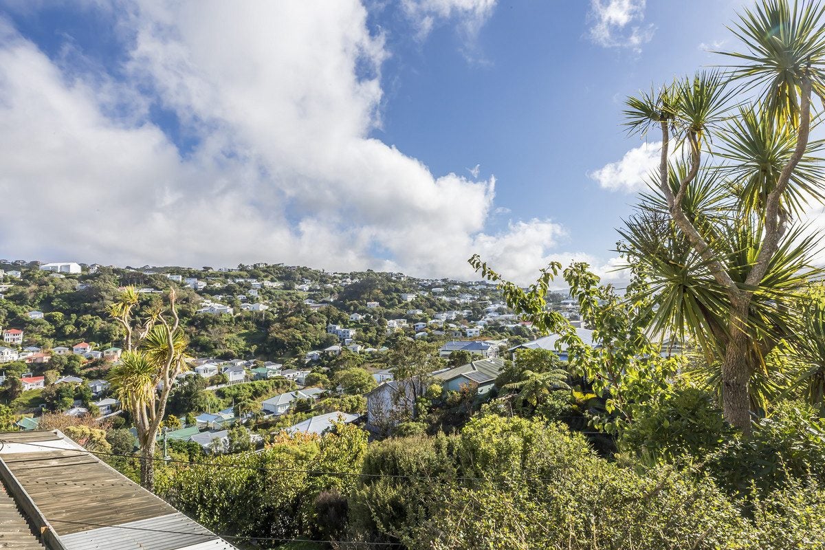 11 Taft Street, Brooklyn, Wellington - Carousel 22