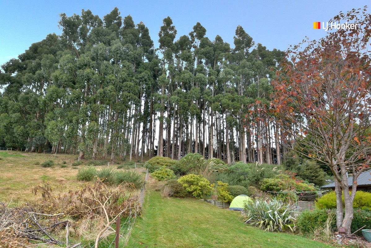 65 Poulters Road, Leith Valley, Dunedin - Carousel 24