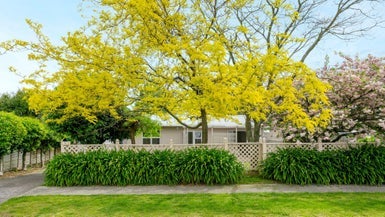 3 Kaka Street, Taupo, Taupo - Carousel 1