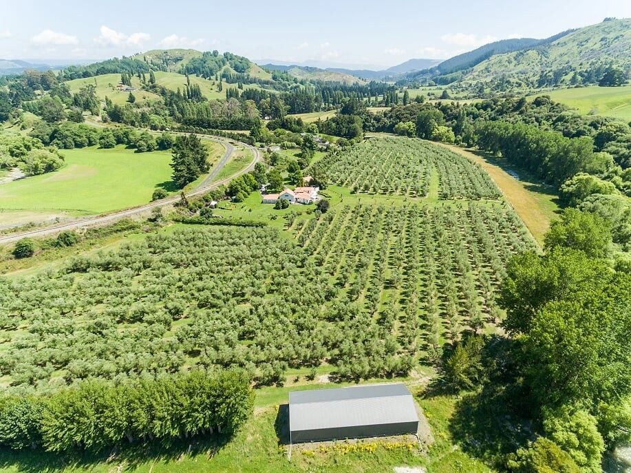 92 Ellis Wallace Road, Eskdale, Napier - Carousel 19