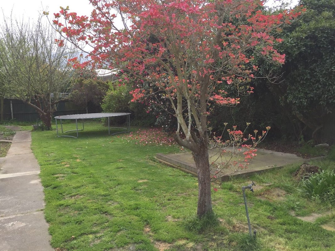 71 Cutts Road, Russley, Christchurch - Carousel 9