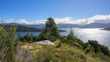 238A Port Underwood Road, Waikawa, Picton - Carousel 1