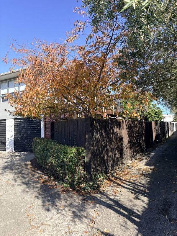 5/125 Geraldine Street, Edgeware, Christchurch - Carousel 19