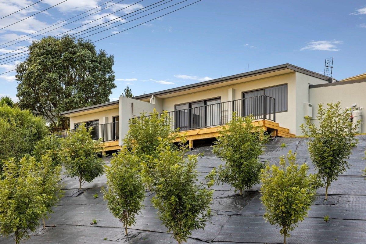 4A Scott Street, Gate Pa, Tauranga - Carousel 14