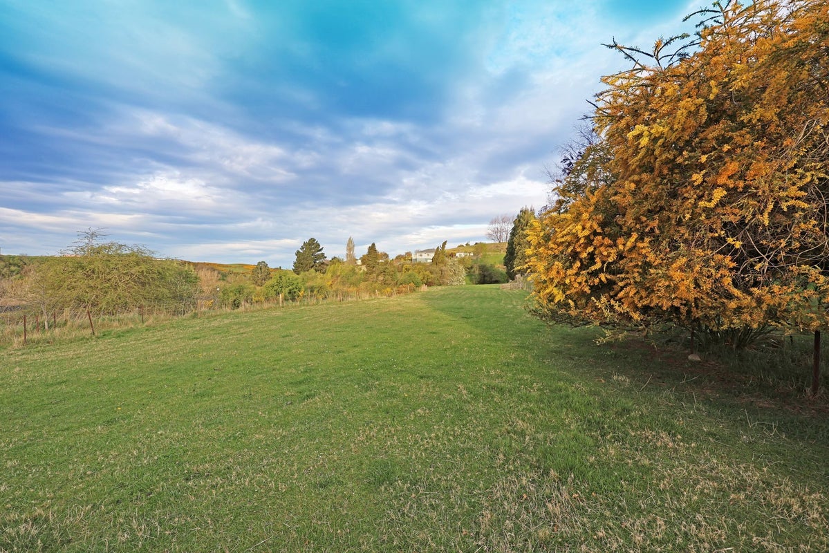 29A Solway Street, Holmes Hill, Oamaru - Carousel 14