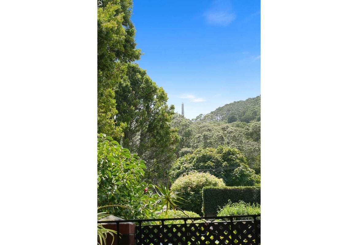 1A Lewin Road, Epsom, Auckland - Carousel 16