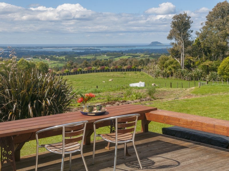 1039A Work Road, Whakamarama, Katikati - Carousel 1