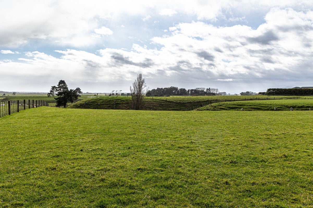 234 Kukutauaki Road, Koputaroa, Shannon - Carousel 2