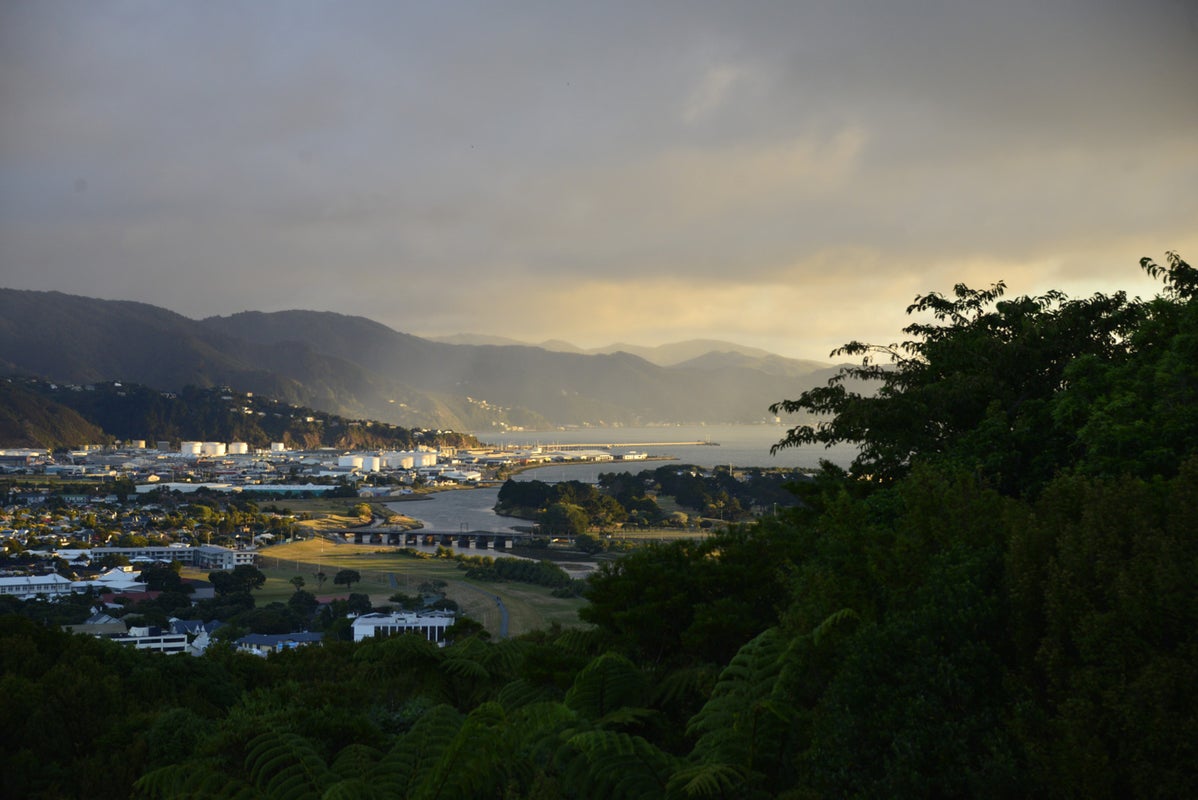49 Harbour View Road, Harbour View, Lower Hutt - Carousel 18