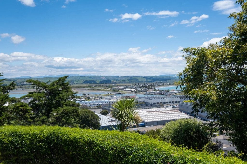 8 Goldsmith Terrace, Hospital Hill, Napier - Carousel 20