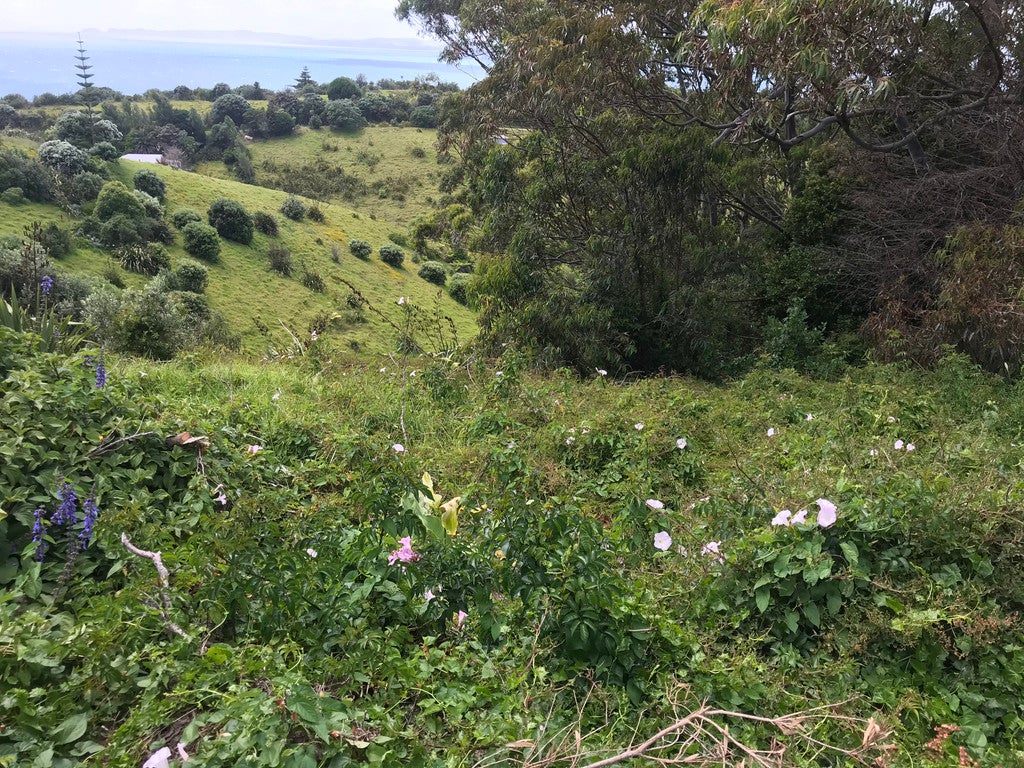 43 Ocean View Crescent, Rakino Island, Auckland - Carousel 4