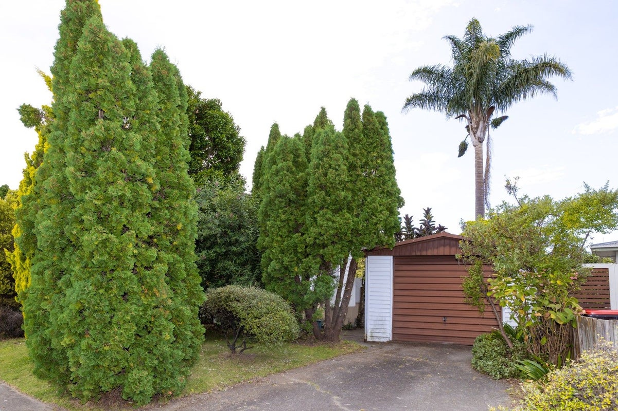 18 Auckland Road, Greenmeadows, Napier - Carousel 15