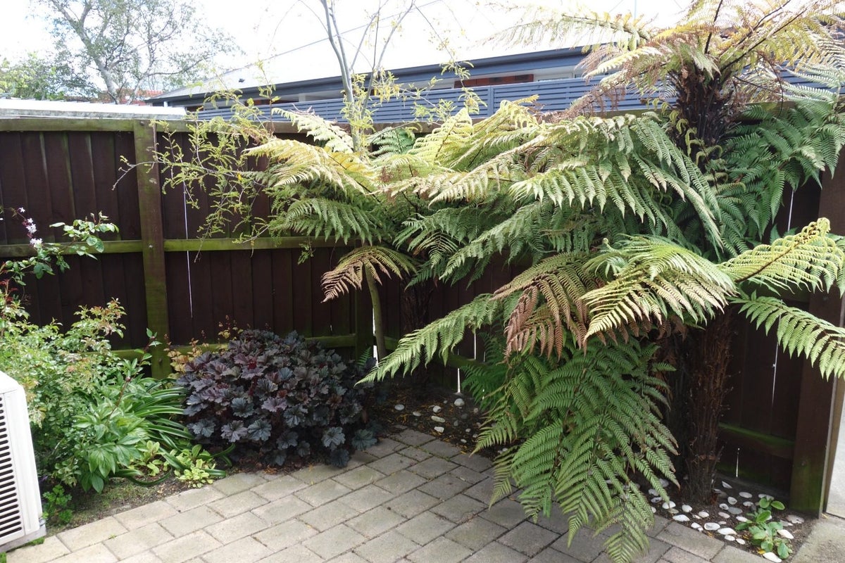 5/13 Bordesley Street, Phillipstown, Christchurch - Carousel 8