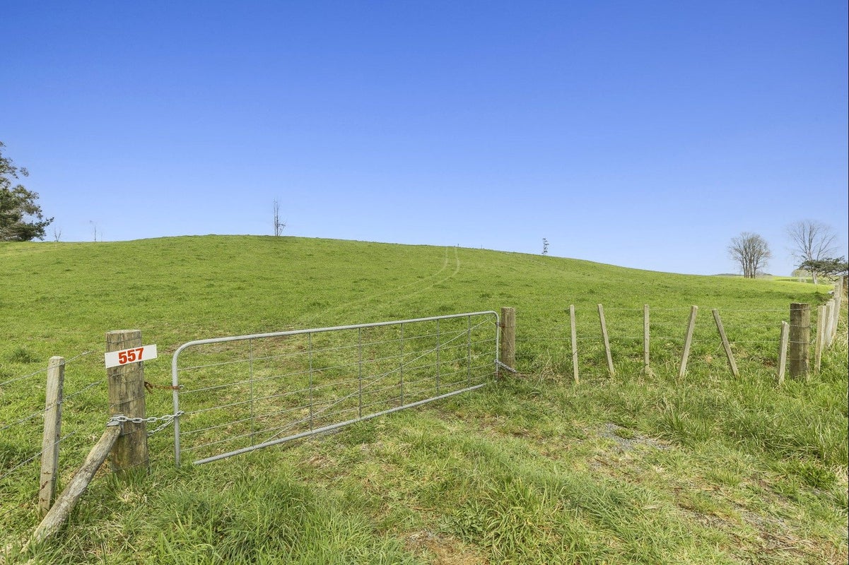 557 Wiltsdown Road, Wiltsdown, Putaruru - Carousel 2