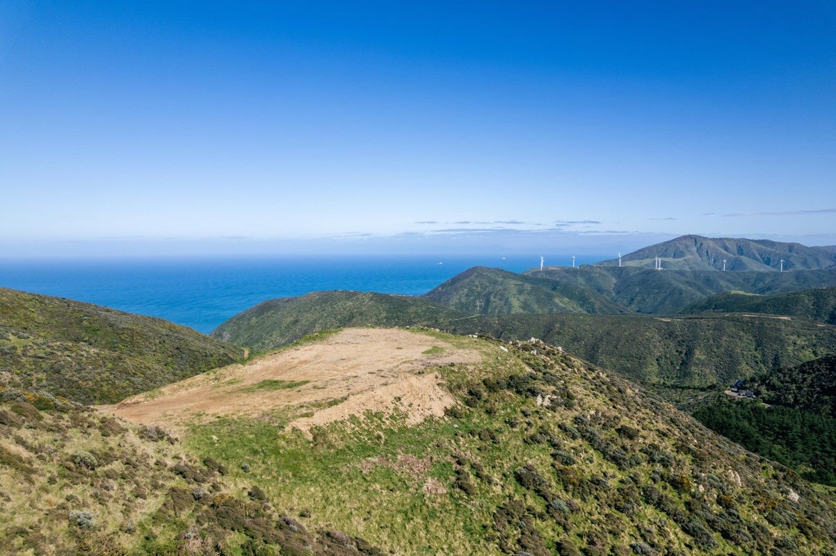 457 Southernthread Road, Brooklyn, Wellington - Carousel 1