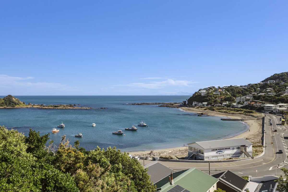 10 Linwood Way, Island Bay, Wellington - Carousel 12