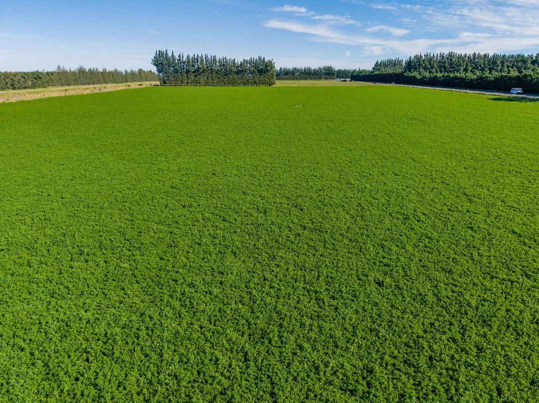 0 Rakaia Highway, Allenton, Ashburton - Carousel 2