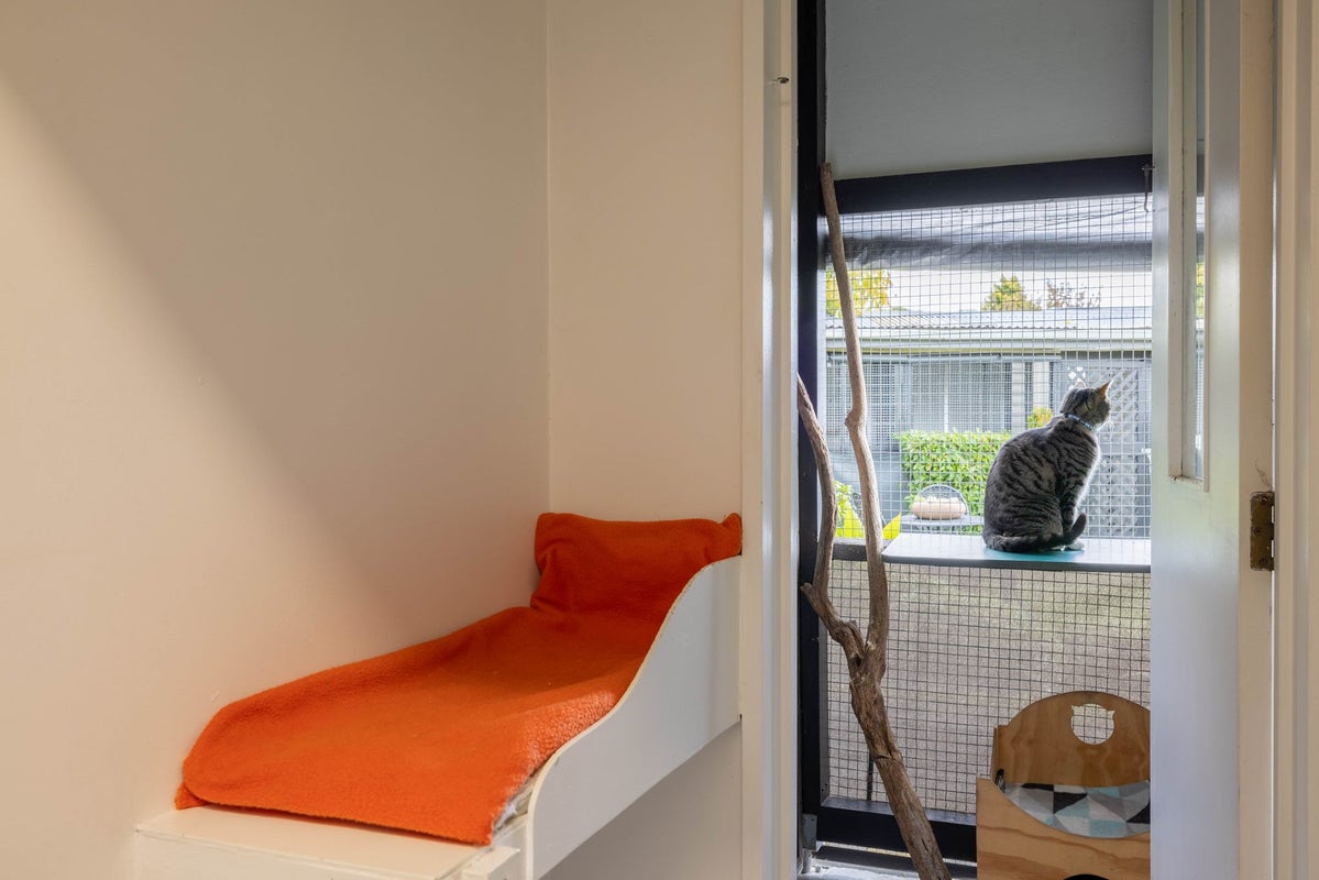 5 Cowper Place, Avondale, Christchurch - Carousel 25
