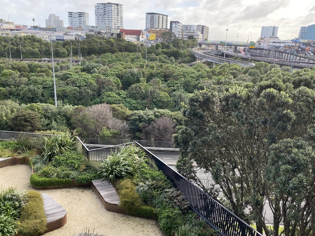 304/59 France Street South, Newton, Auckland - Carousel 13