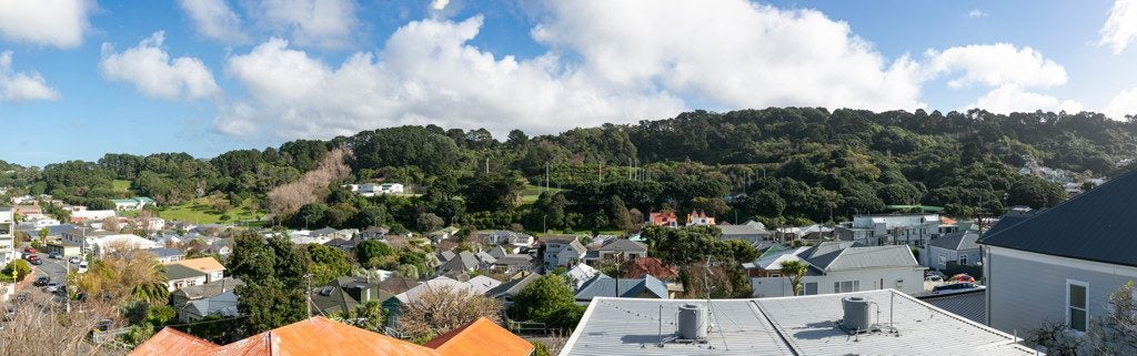 29 Hamilton Road, Hataitai, Wellington - Carousel 2