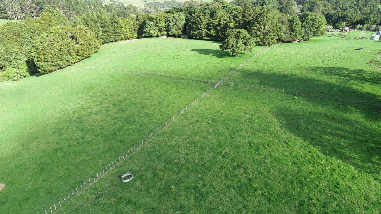 41 Pinehill Road, Pakaraka, Kaikohe - Carousel 1