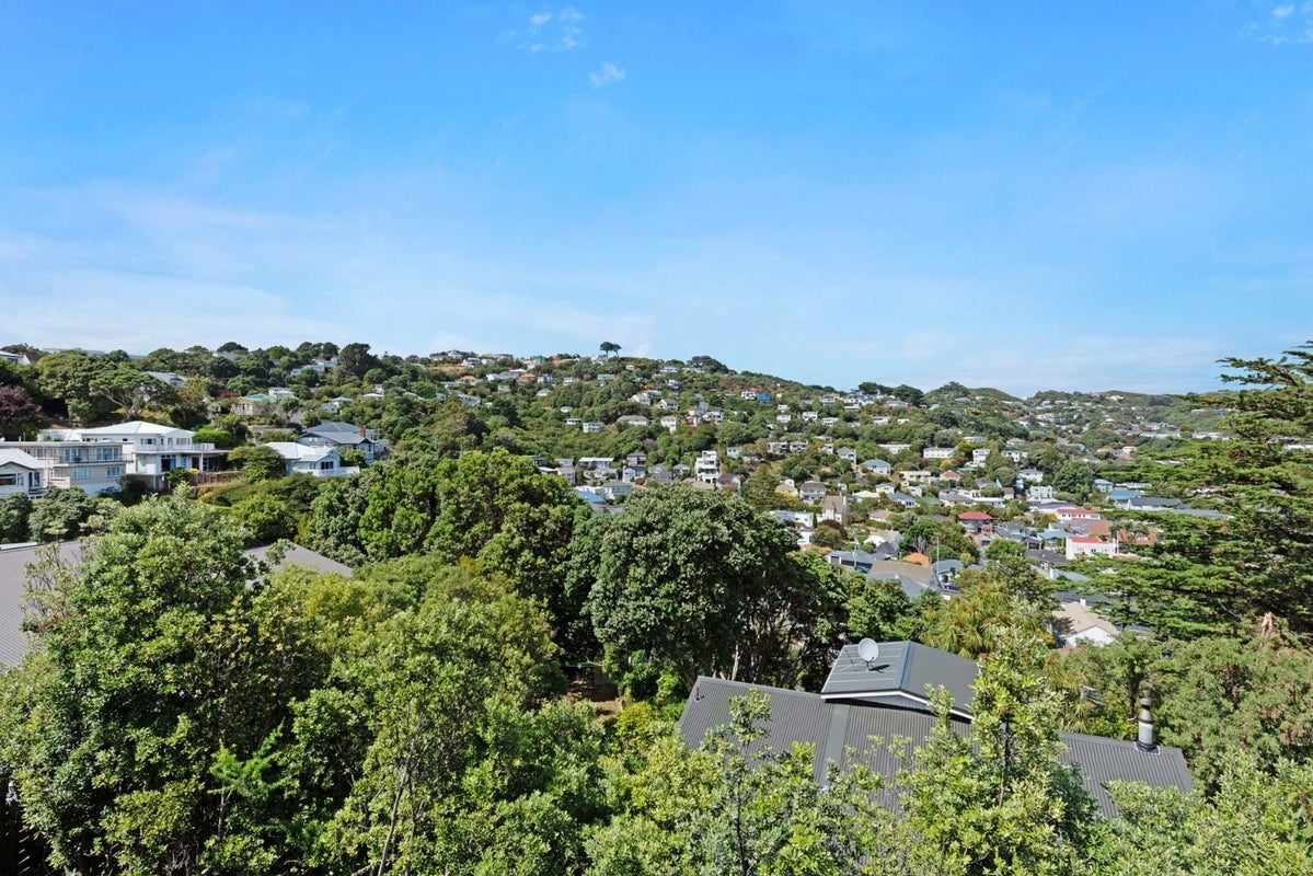 19A Tio Tio Road, Miramar, Wellington - Carousel 13