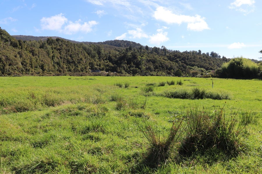 115 Gladstone Road, SEDDONVILLE, WESTPORT - Carousel 1
