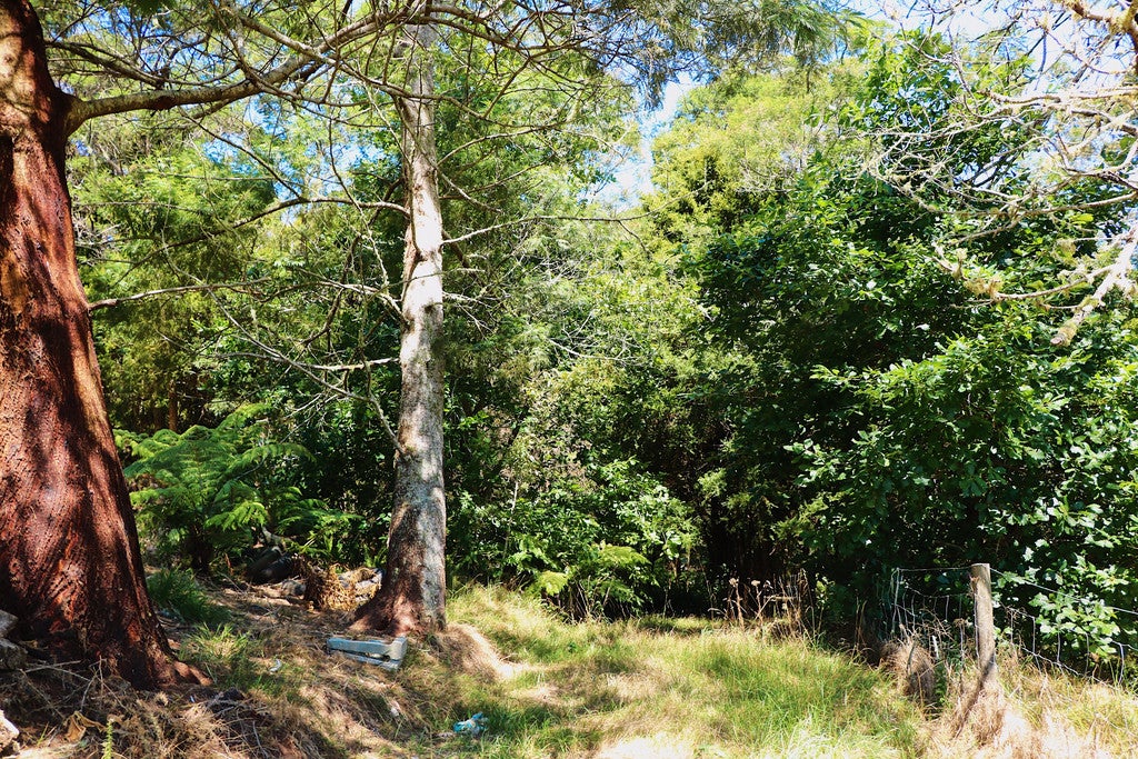 96 Lamb Road, PARUA BAY, ONERAHI - Carousel 10