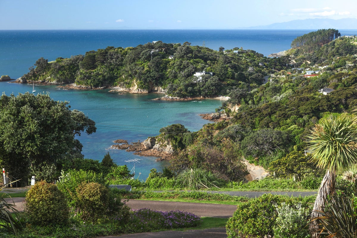54 Queens Drive, Oneroa, Waiheke Island - Carousel 2