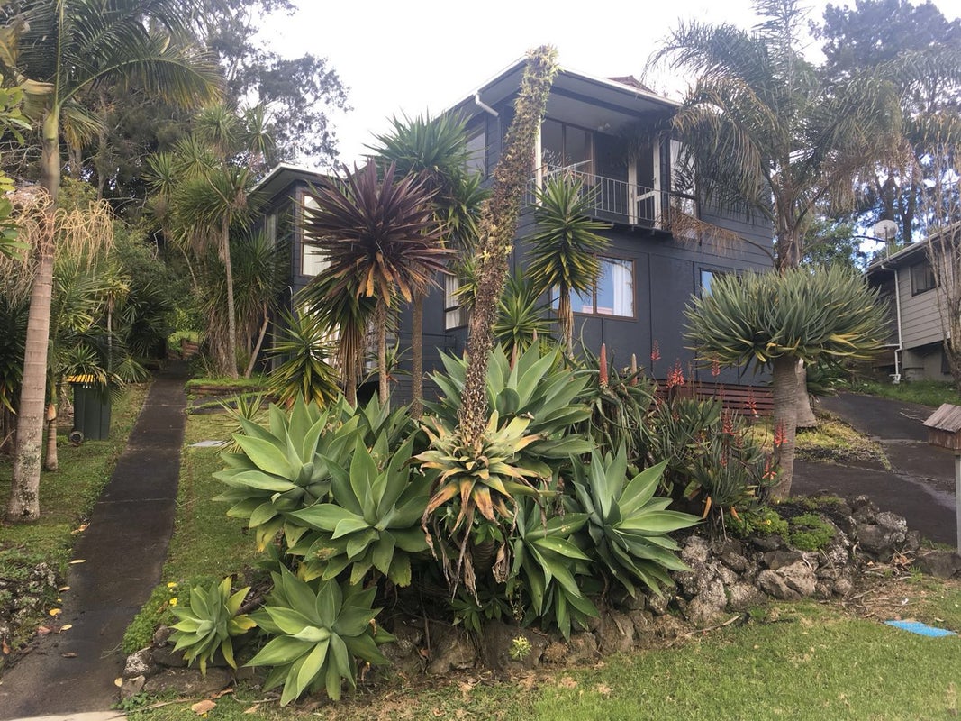 91 Oaktree Avenue, Browns Bay, Auckland - Carousel 1