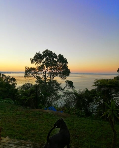 50 Cliff View Drive, Green Bay, Auckland - Carousel 2