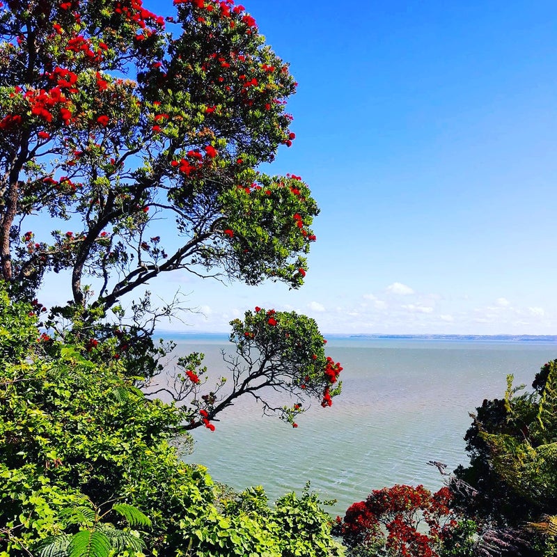 50 Cliff View Drive, Green Bay, Auckland - Carousel 1