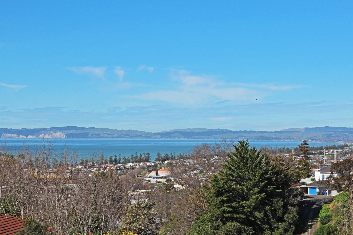 8 Harvey Road, Bluff Hill, Napier - Carousel 2