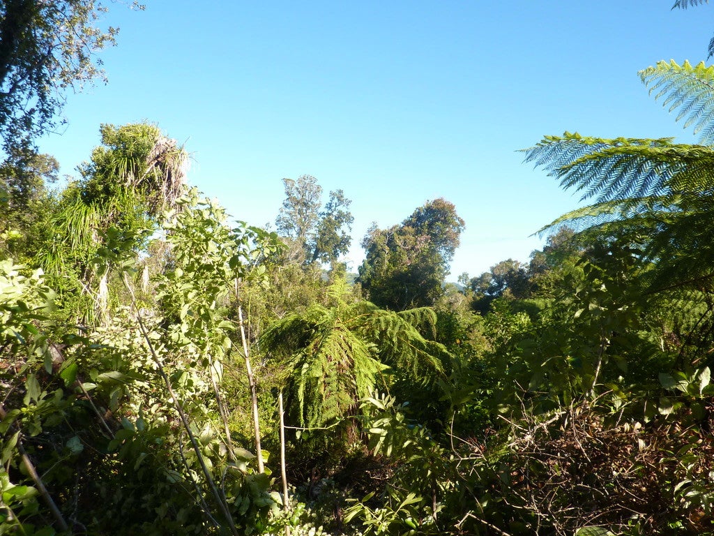 35 Mokihinui Preserve, Seddonville, Westport - Carousel 26