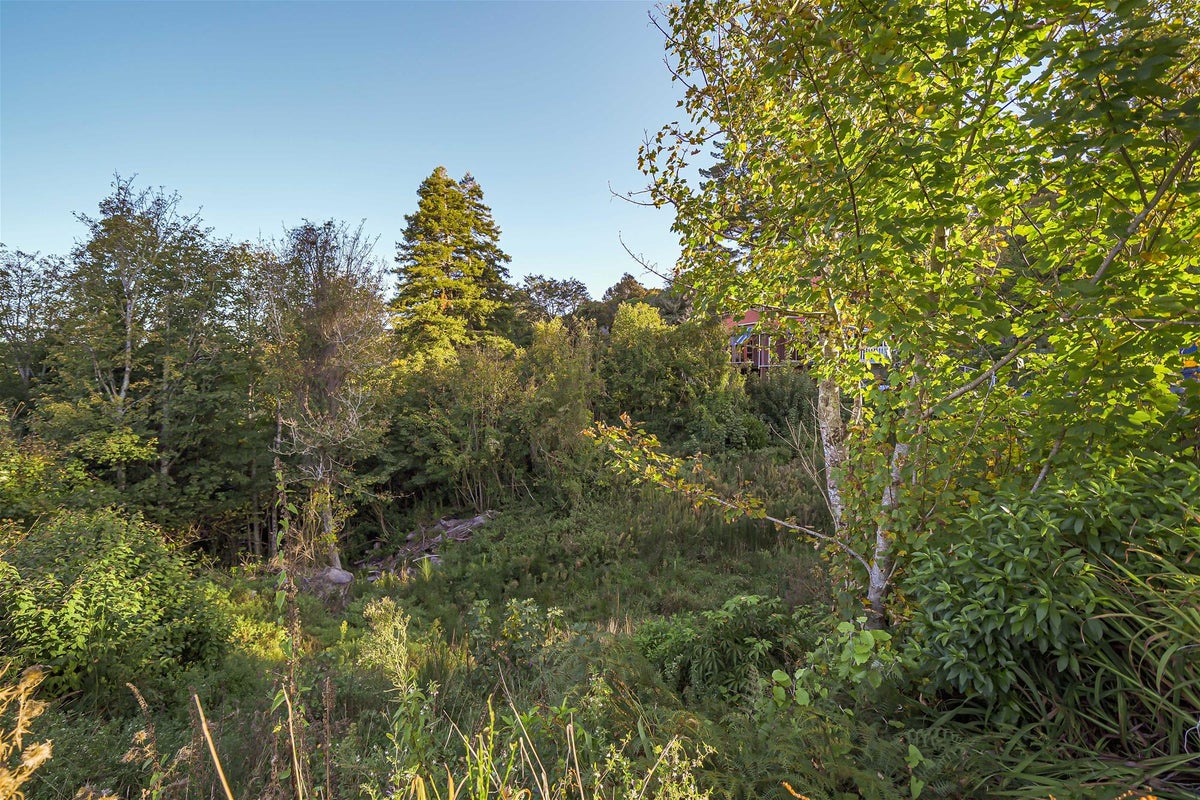 8 Avro Road, Blue Mountains, Upper Hutt - Carousel 9