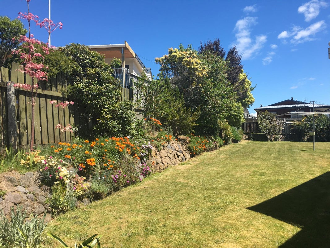 51 Terence Street, Tauhara, Taupo - Carousel 14