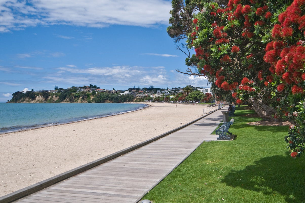2/58 Polygon Road, St Heliers, Auckland - Carousel 18