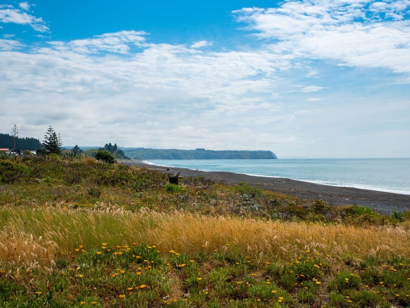222 Whirinaki Road, Eskdale, Napier - Carousel 19