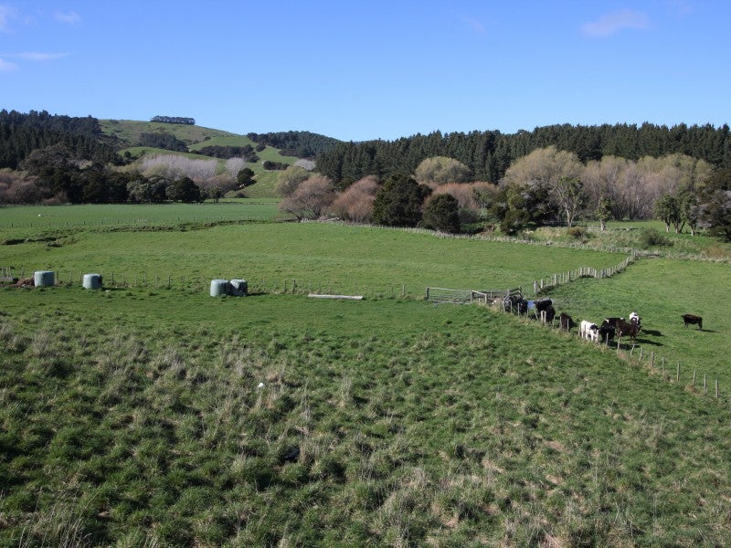 4358 Masterton Castlepoint Road, Masterton - Carousel 18