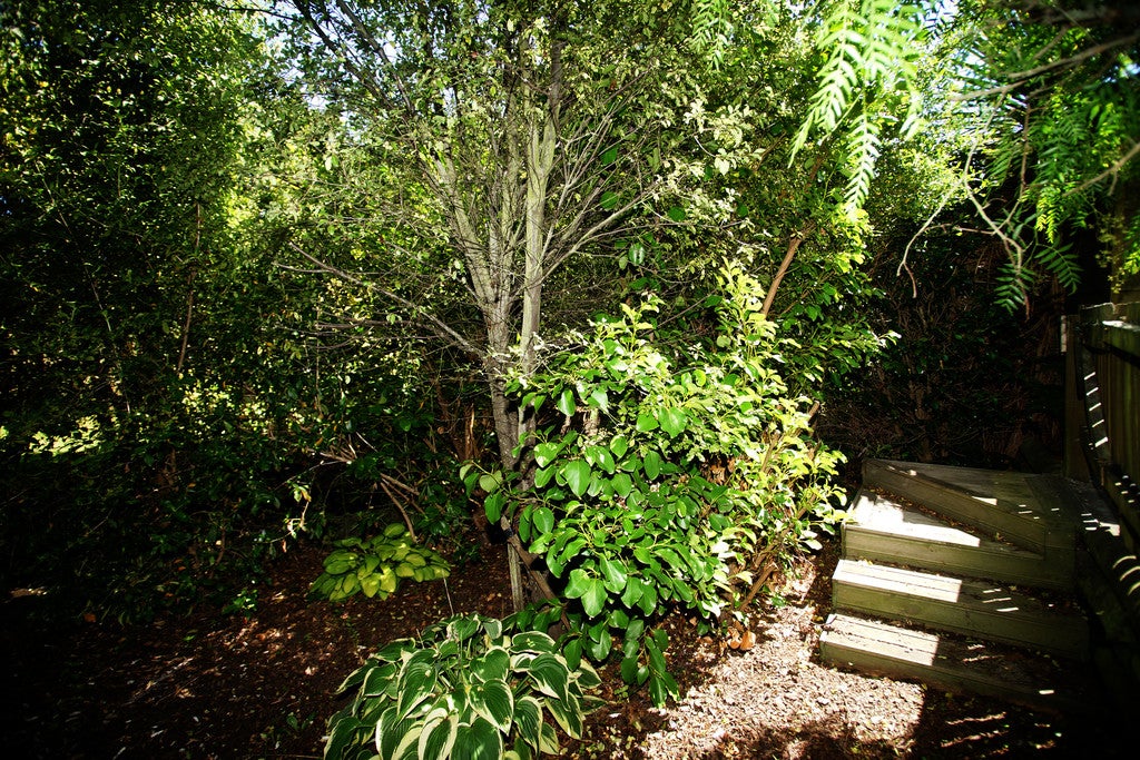 30 Rearsby Drive, Halswell, Christchurch - Carousel 21