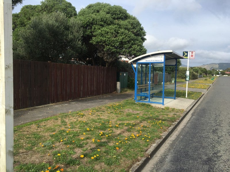 5 Reeves Street, Waikanae Beach, Waikanae - Carousel 12