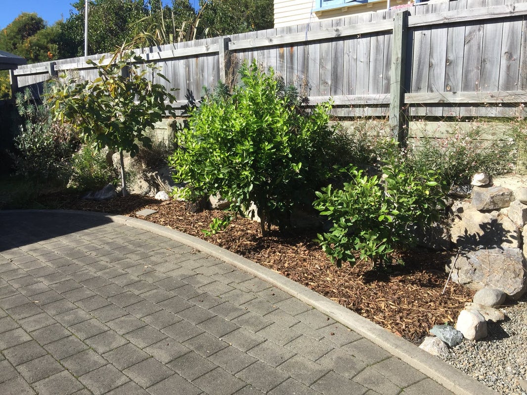 53 Golf Road, Tahunanui, Nelson - Carousel 18