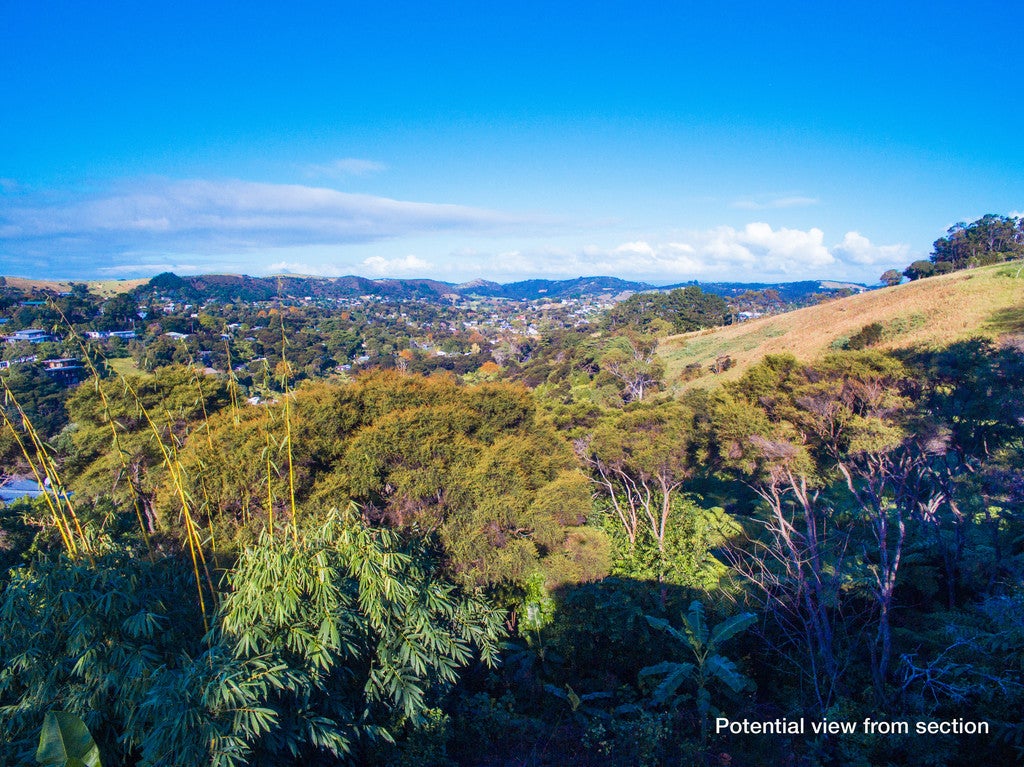 108 Hill Road, Palm Beach, Waiheke Island - Carousel 2