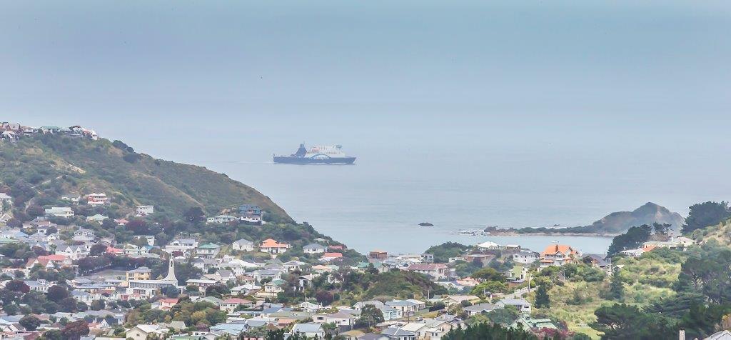 16 Havelock Street, Mornington, Wellington - Carousel 2