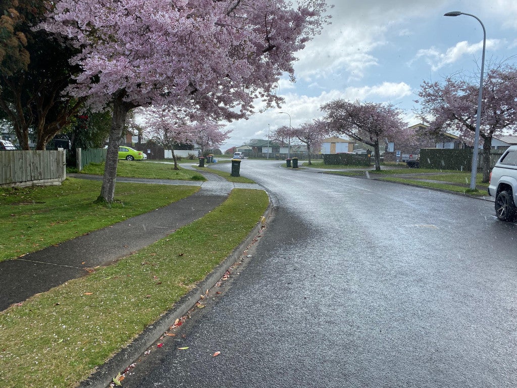 6B Baxter Place, Owhata, Rotorua - Carousel 13