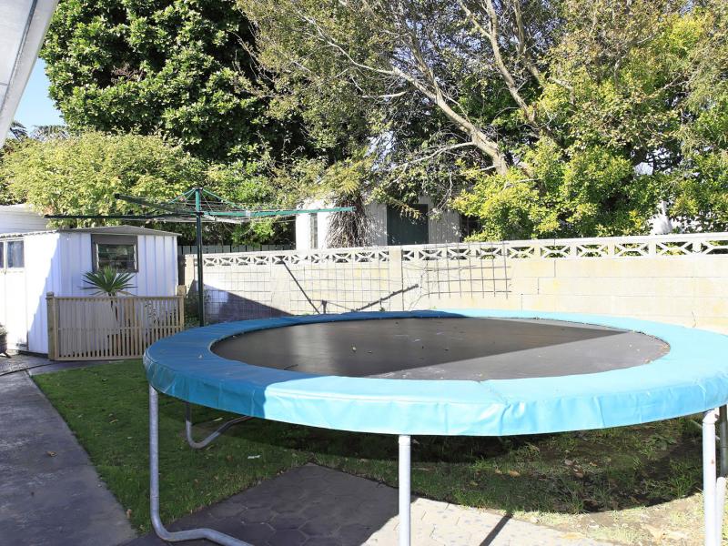 17 Rosebank Avenue, Avalon, Lower Hutt - Carousel 20
