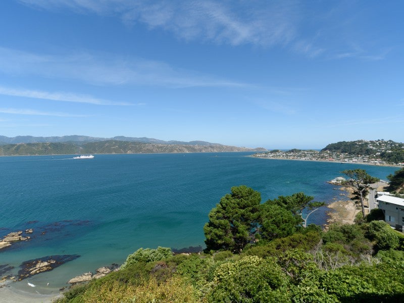 26 Tai Paku Paku Road, Karaka Bays, Wellington - Carousel 1