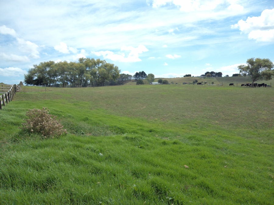 74A Butchers Bridge Road, Waiuku - Carousel 9