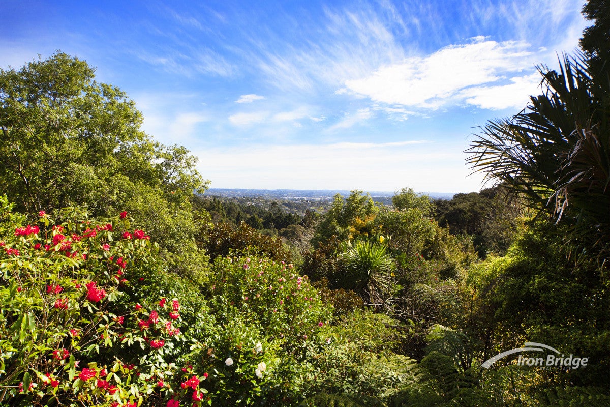 69 Kohu Road, Titirangi, Auckland - Carousel 15