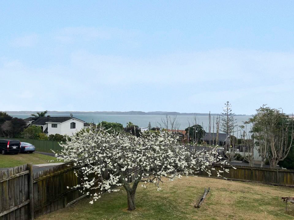 1 Motuketekete Avenue, Army Bay, Whangaparaoa - Carousel 8
